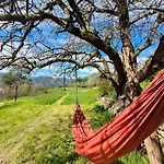 D'hote Dans Mas Proche Anduze Cevennes Avec Piscine 3* Mialet (Gard)