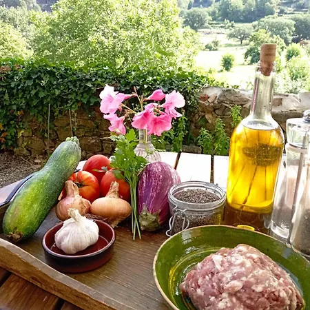 D'hôte Dans Mas Proche Anduze Cévennes Avec Piscine 3*