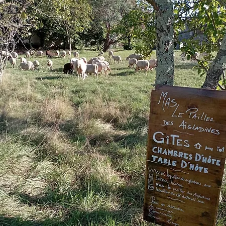 D'hote Dans Mas Proche Anduze Cevennes Avec Piscine 3* Mialet (Gard)