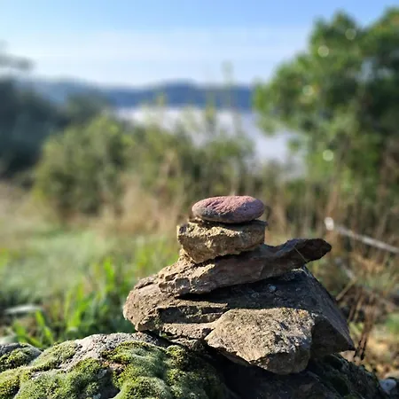 D'hote Dans Mas Proche Anduze Cevennes Avec Piscine