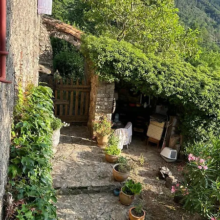 Nocleg ze śniadaniem D'hote Dans Mas Proche Anduze Cevennes Avec Piscine 3*
