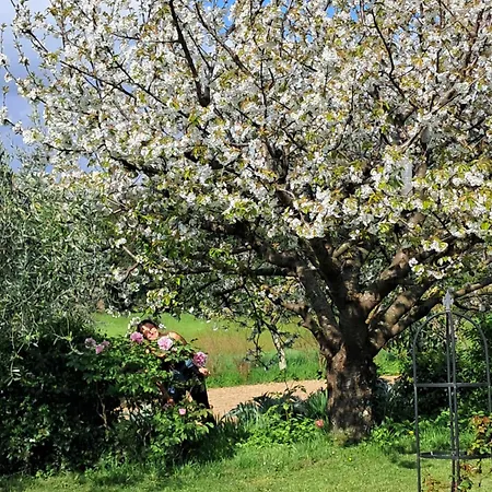 D'hote Dans Mas Proche Anduze Cevennes Avec Piscine *