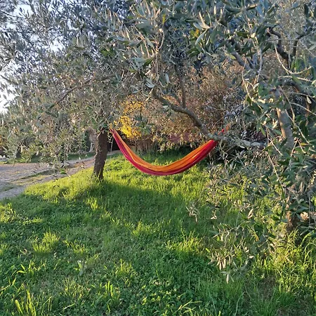 Nocleg ze śniadaniem D'hote Dans Mas Proche Anduze Cevennes Avec Piscine