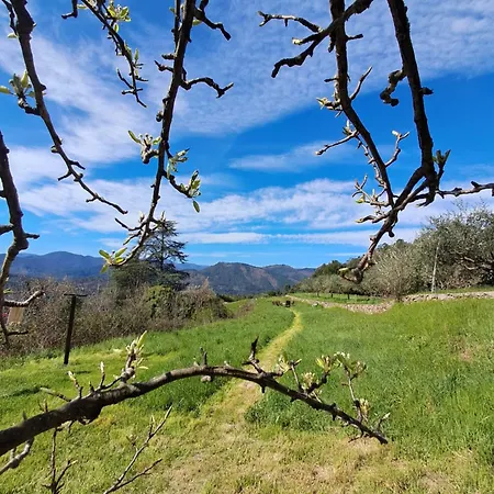 D'hote Dans Mas Proche Anduze Cevennes Avec Piscine Nocleg ze śniadaniem